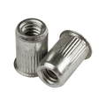 G.L. Huyett Rivet Nut, 1/4"-20 Thread Size, 0.5 in Flange Dia., .680 in L, 300 Stainless Steel BTI-CAL1-2520-260/B1